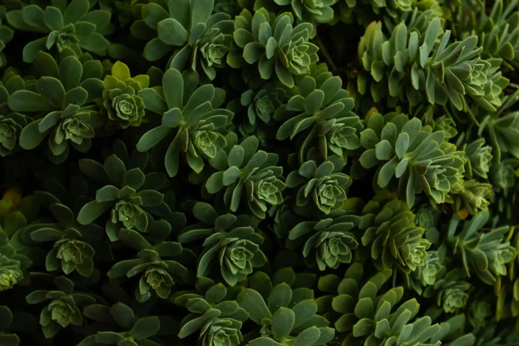 Lorem ipsum dolor sit amet 10